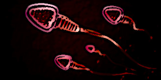 Quelles sont les solutions en cas de présence de sang dans le sperme ?